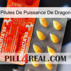 Dragon Power Pills new01